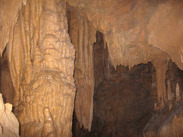 sveti trije kralji 2009. 052.jpg - Foto: Neboja Matijevi
